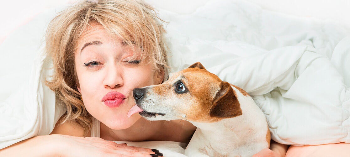Woman with dog in cozy bed setting