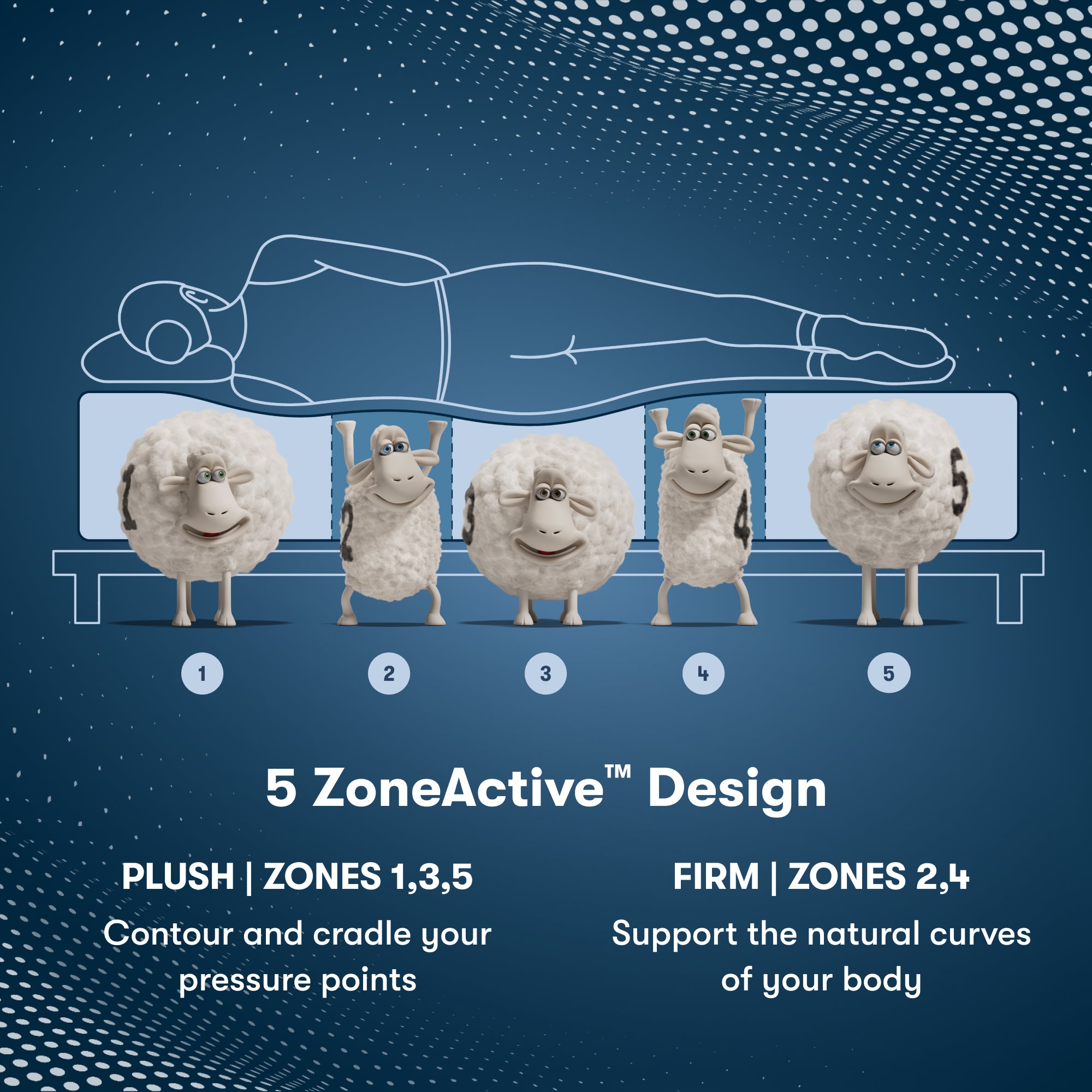 Perfect Sleeper Pro Geneva Firm Mattress Component 5 Zone chart || Level: Level 2 || Feel: Firm